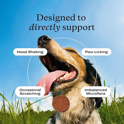 PetLab Co. Allergy & Immune Probiotics for Dogs – Complete Support for Seasonal Allergies, Gut and Digestive Health – Irresistible Pork Flavor – 30 Soft Chews – Packaging May Vary