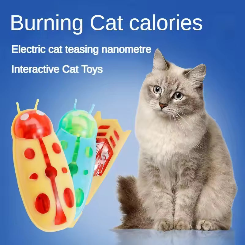 Interactive Electric Bug Toy for Cats - 5 Pack Assorted Automatic Vibrating Beetles with Obstacle Avoidance