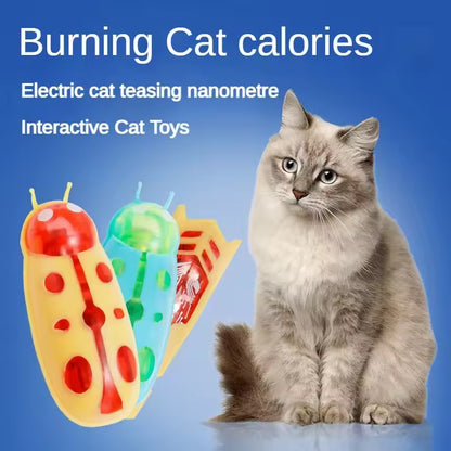 Interactive Electric Bug Toy for Cats - 5 Pack Assorted Automatic Vibrating Beetles with Obstacle Avoidance