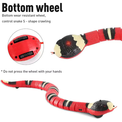 Automatic Cat Toy – Smart Motion Sensor Snake Teaser with USB Charging ✅