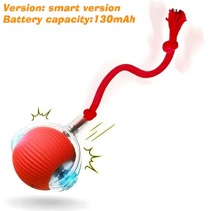 New Dog Interactive Ball Toy,Automatic Rolling Dog Ball Rechargeable,Smart Puppy Interactive Toy,Intelligent Balls Toy for Dogs
