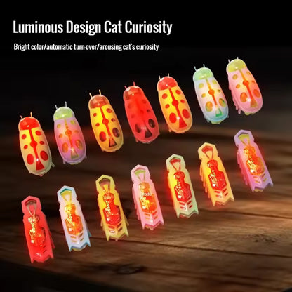 Interactive Electric Bug Toy for Cats - 5 Pack Assorted Automatic Vibrating Beetles with Obstacle Avoidance