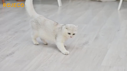 Smart Automatic Cat Laser Toy - Interactive LED Teasing Toy for Indoor Cats & Dogs"