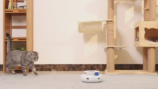 ROJECO Smart Cat Toy - Automatic Interactive Feather Ball 5 Modes